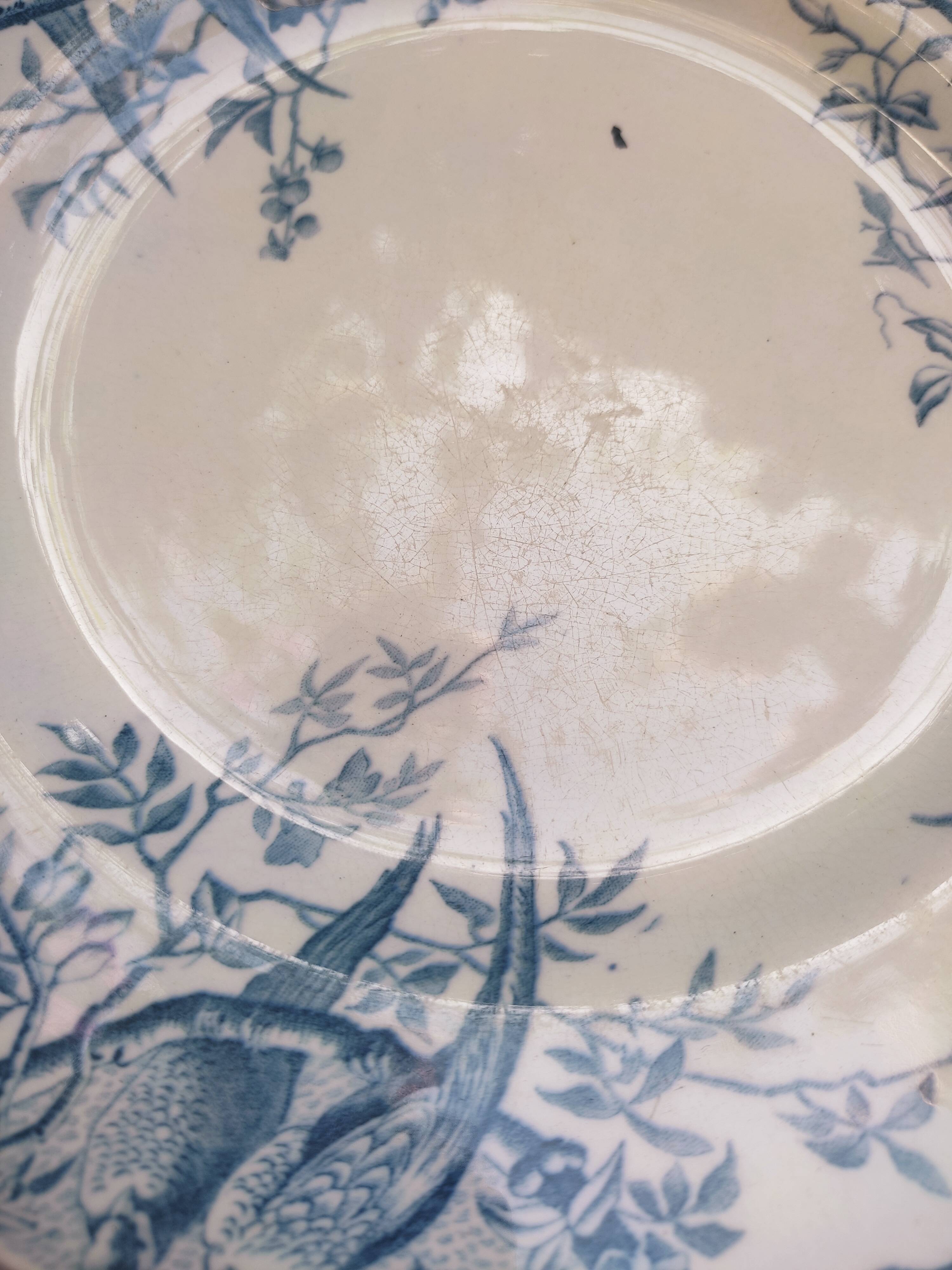 7 plates in earthenware with bird motifs by Lunéville
