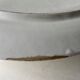 Vintage seafood barbotine dish