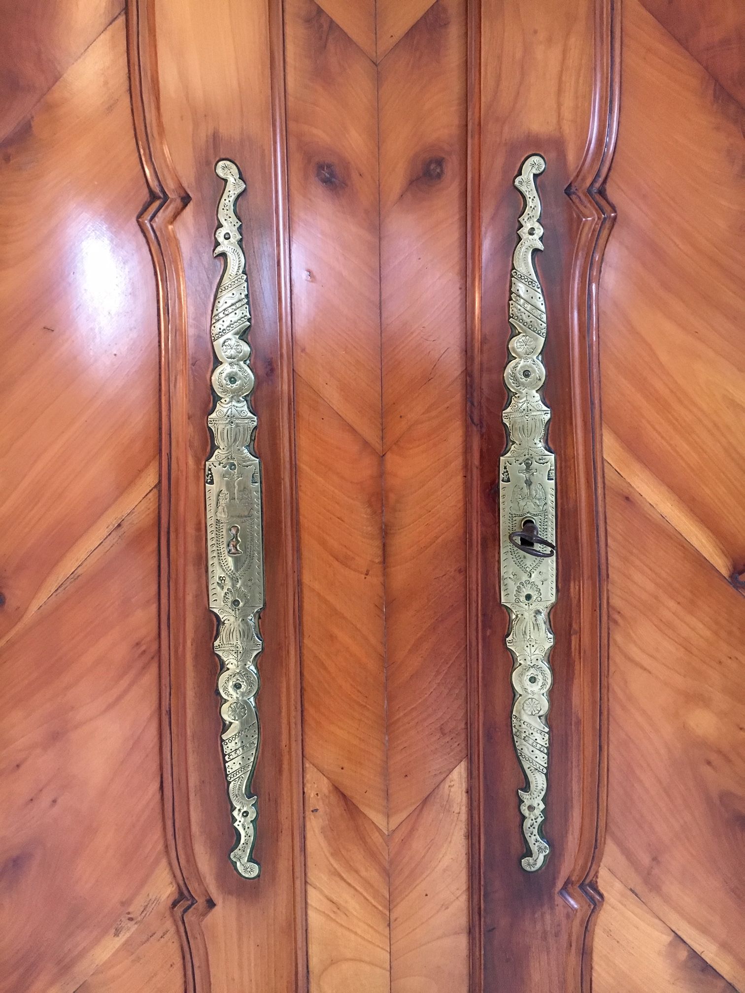 Mid-19th century cabinet of ferns in cherry and chestnut