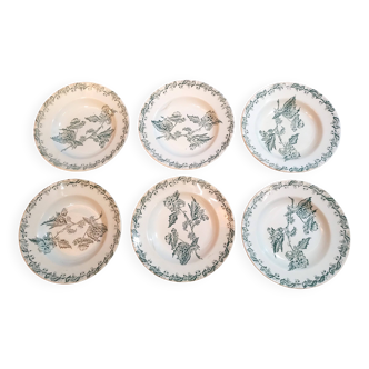 Plates x6 St Amand iron earth 1900s