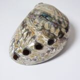 Large polished abalone shell, curiosity item, vintage 20th century.
