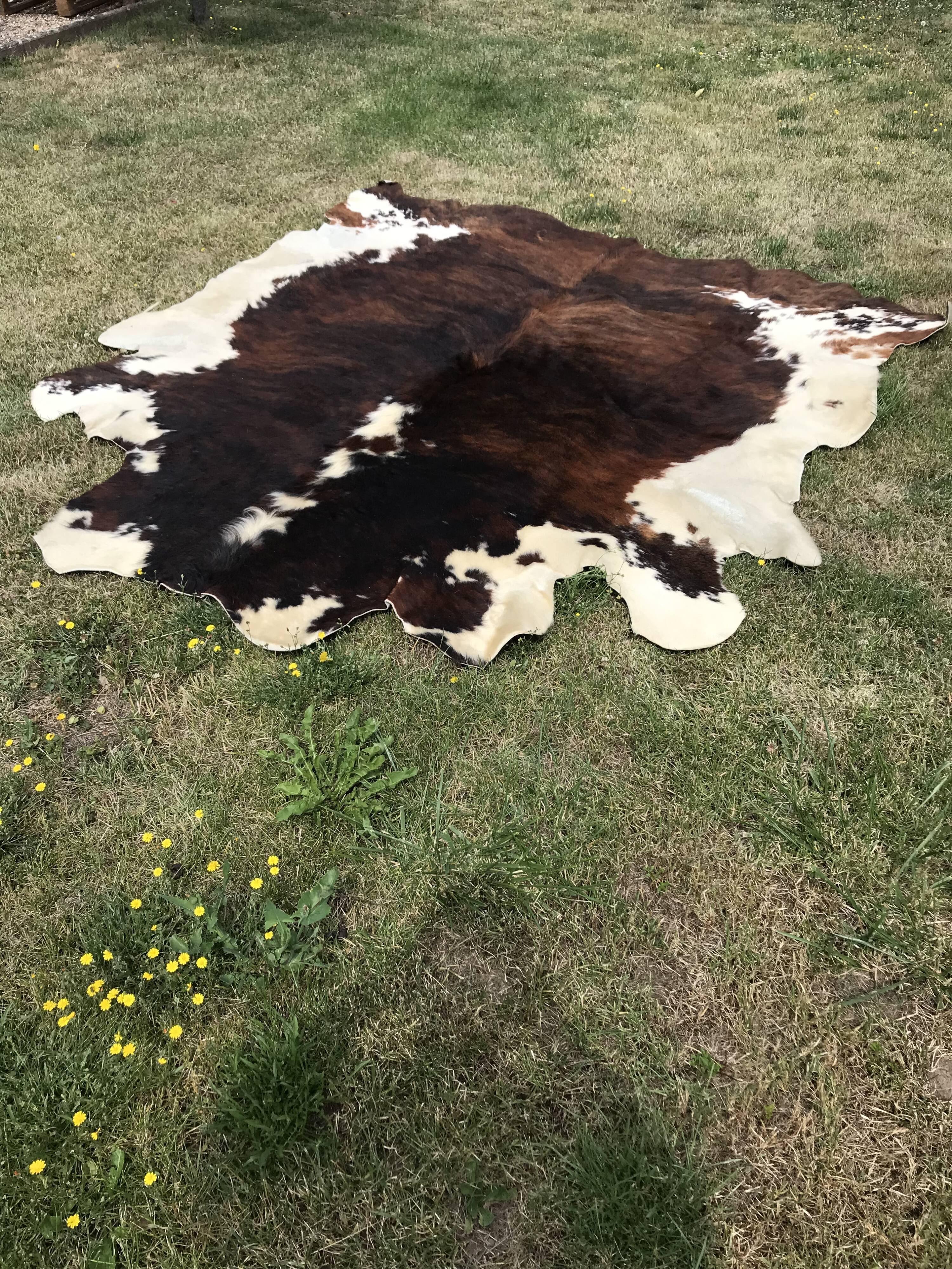 Vintage two-tone cowhide carpet