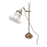 Swan neck lamp