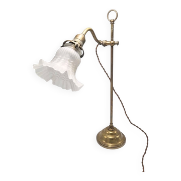 Swan neck lamp