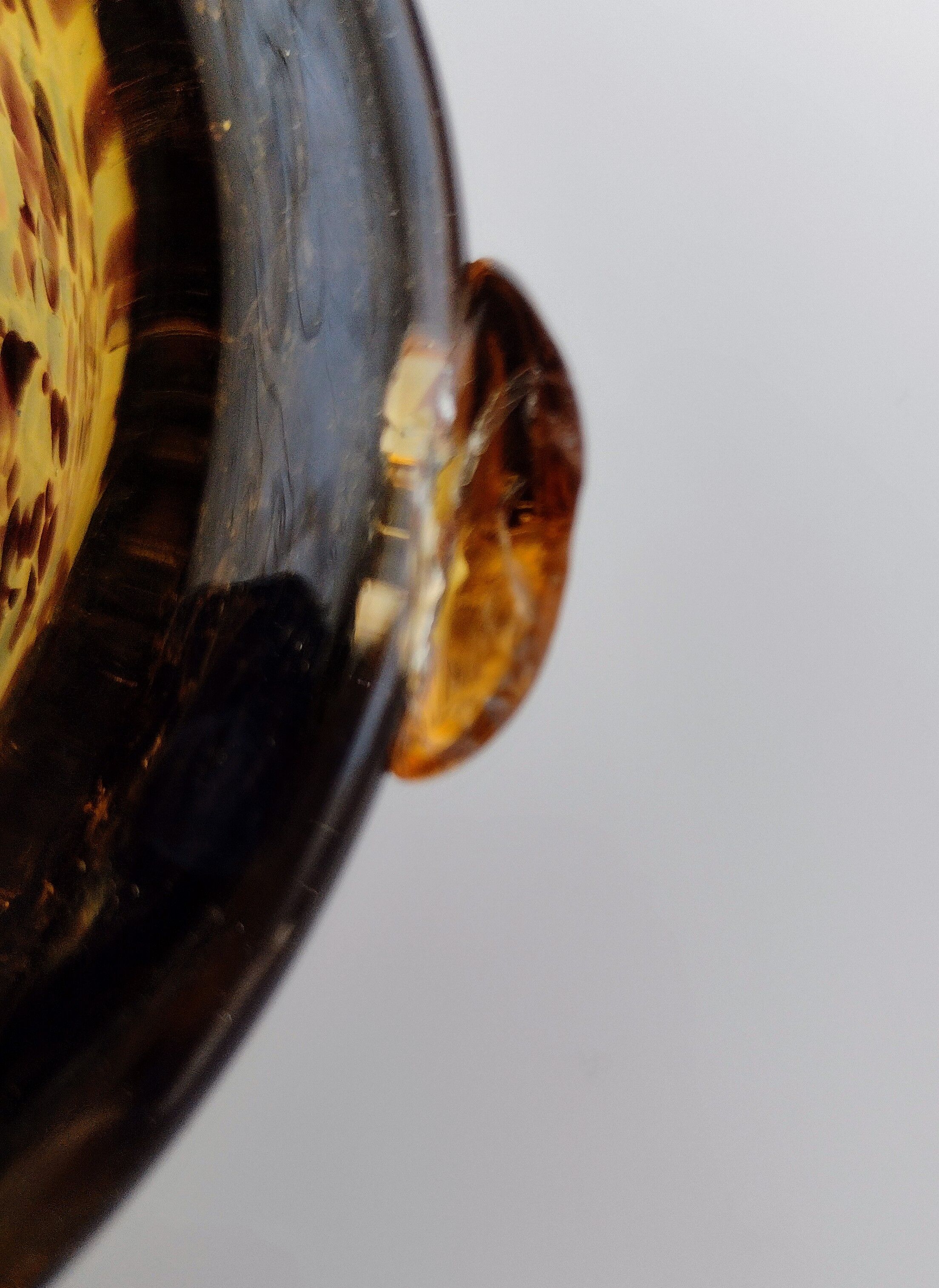 Murano speckled glass tortoise ashtray decoration