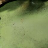 Set of Mont Chevalier Cannes fireplace trims