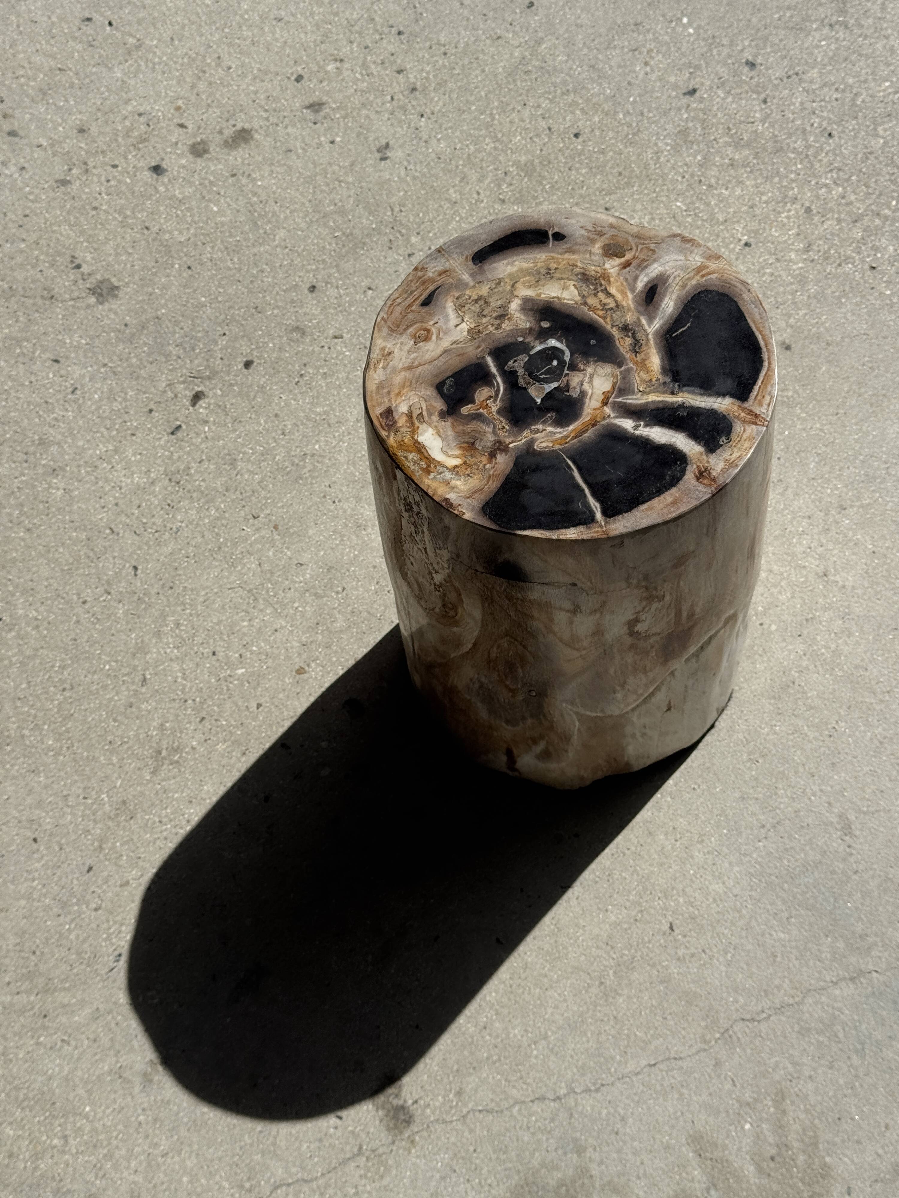 Multicoloured petrified wood side table H45 D24 - 3328