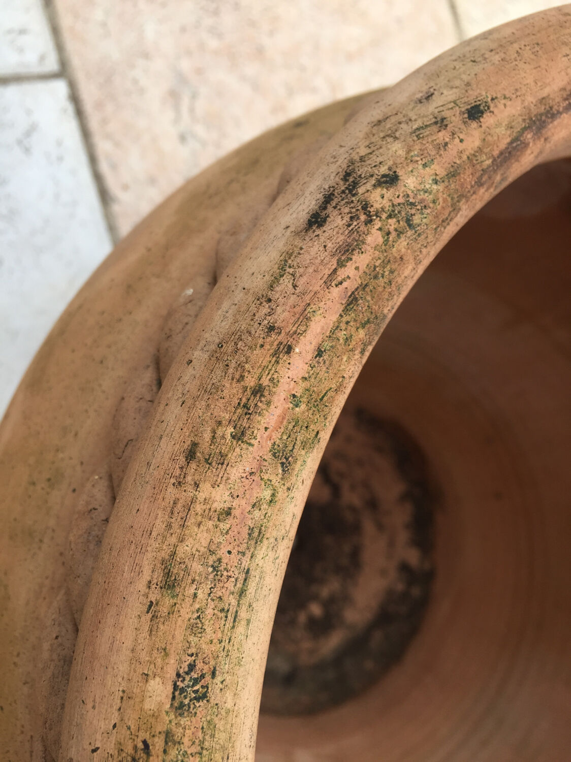 Terracotta pot