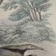 Original zoological board "tatou - cachicame - antelier tamanoir - unau " buffon 1838
