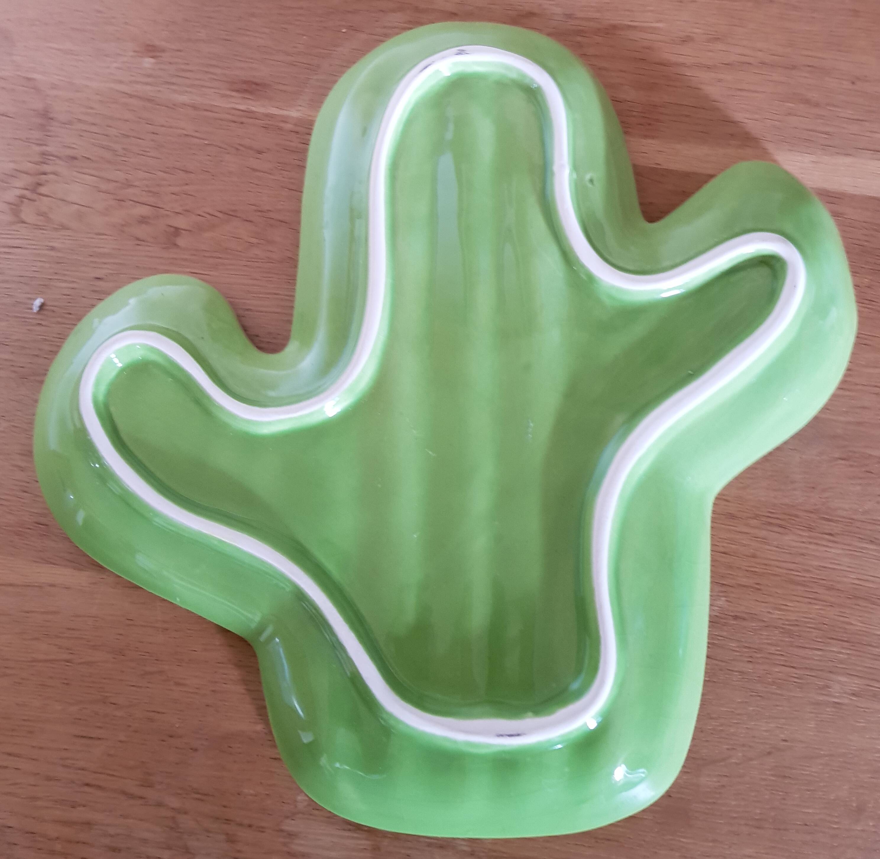 Empty vintage pocket cactus shape