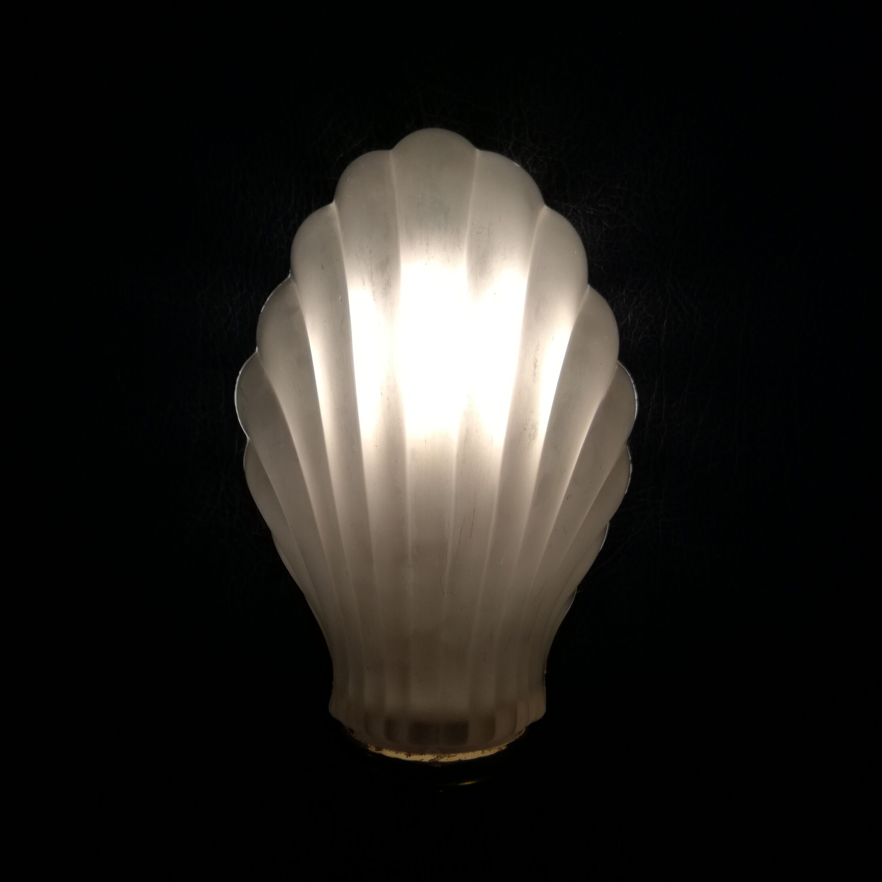 Glass shell sconce