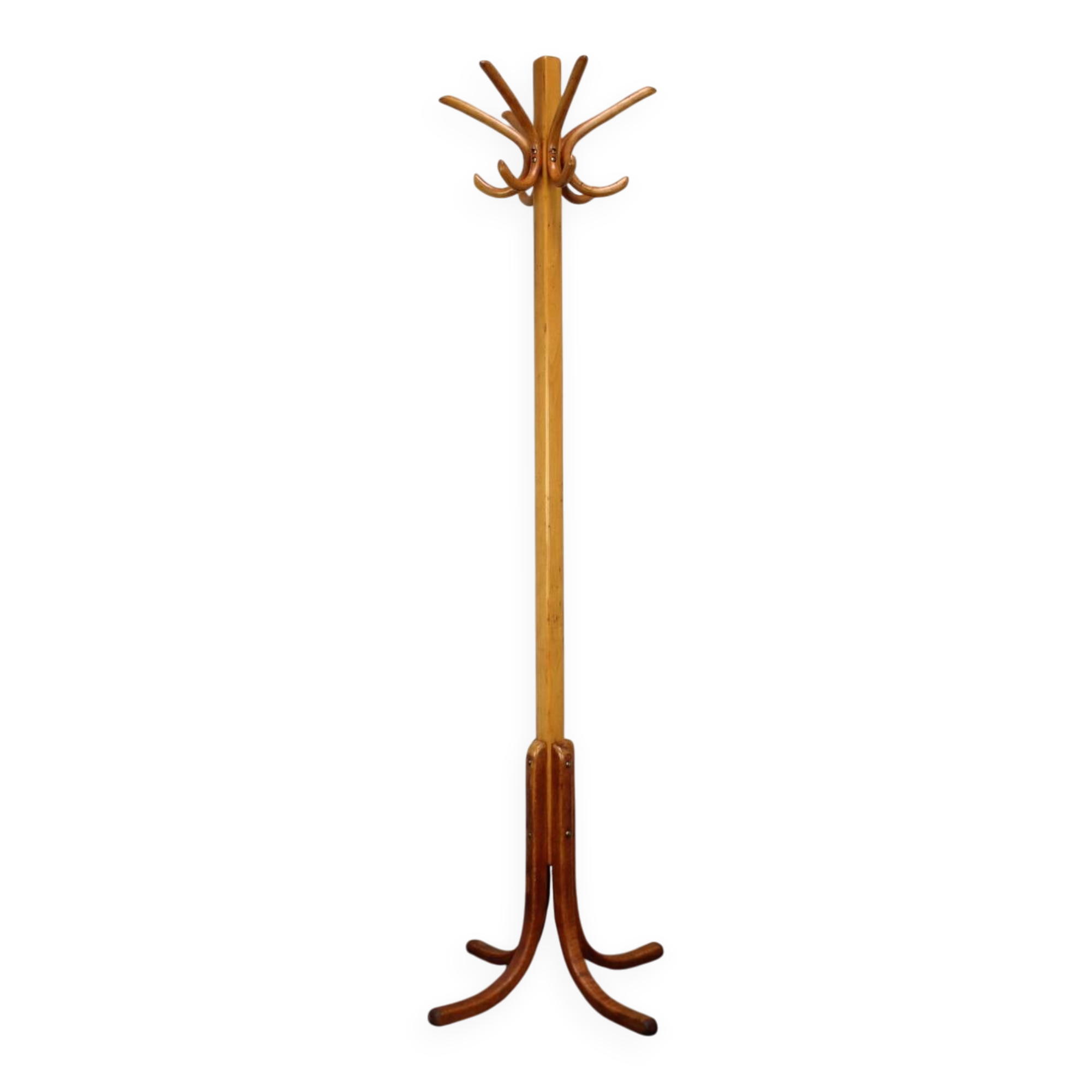 Vintage coat rack in the shape of a parrot in Bentwood - Thonet style - Early 20th century