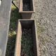 NIII cast iron planters