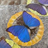 Butterfly side table