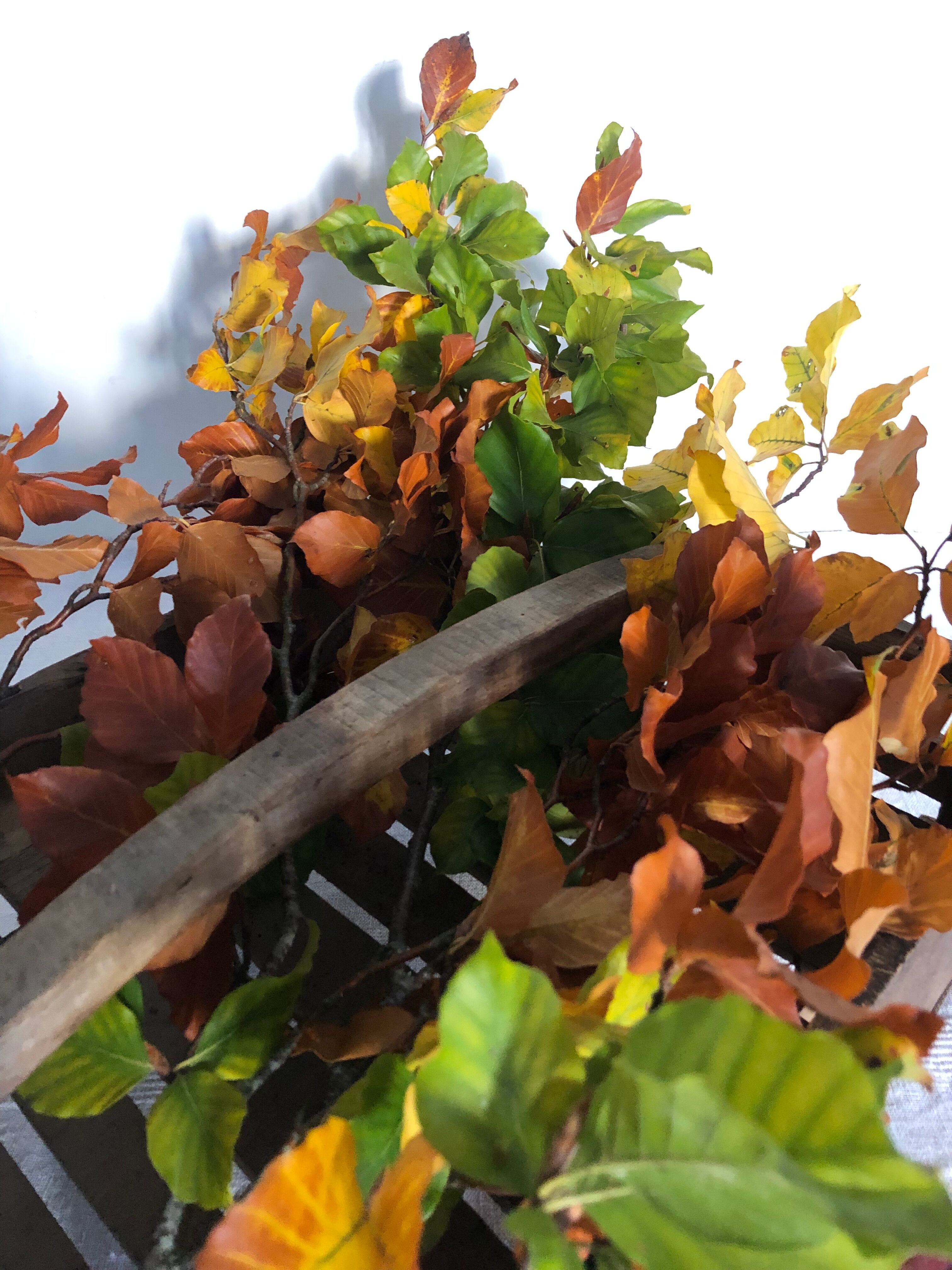 Wooden shelf with handle, garden basket