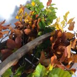 Wooden shelf with handle, garden basket