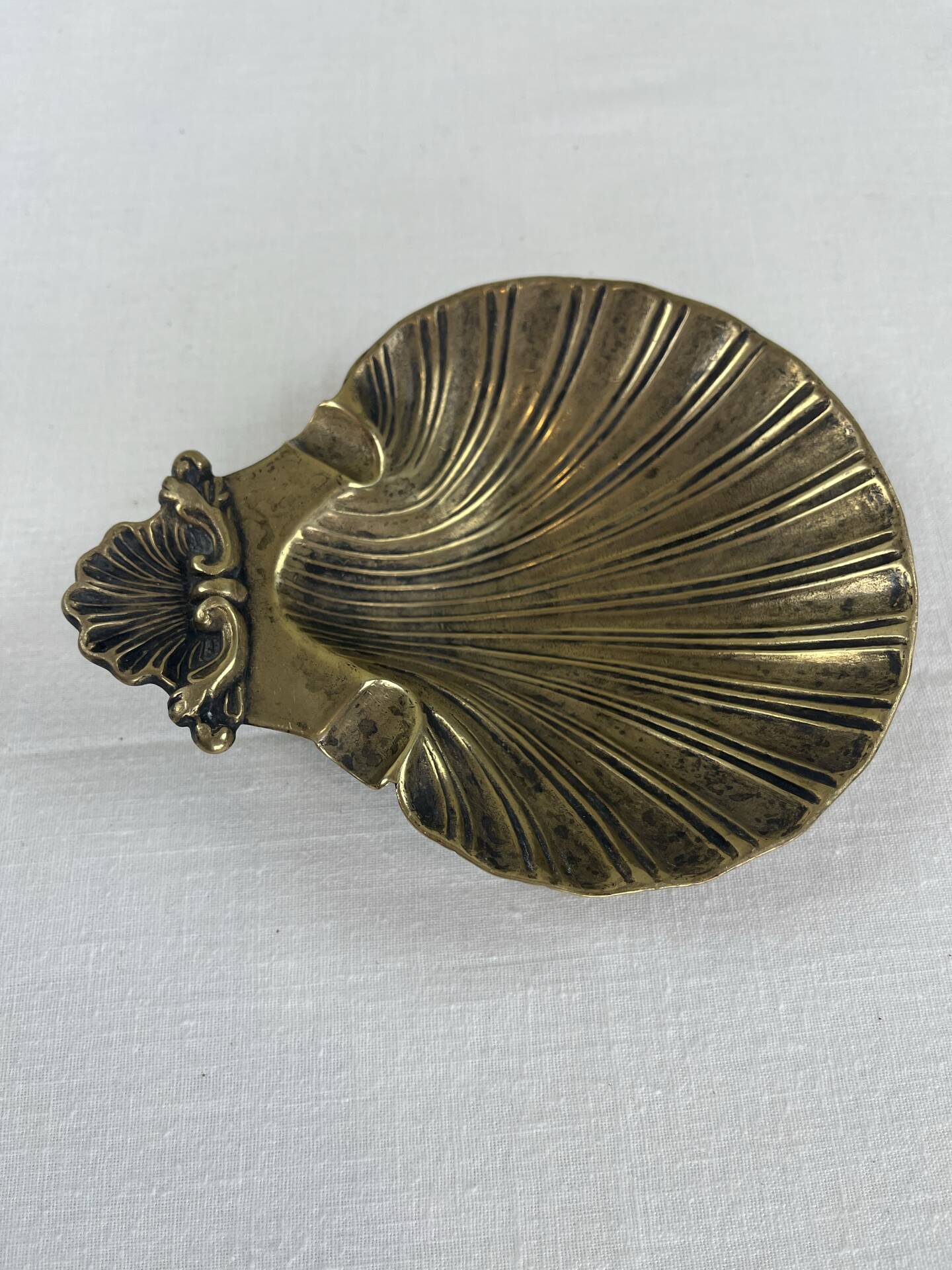 Shell-shaped catch-all tray