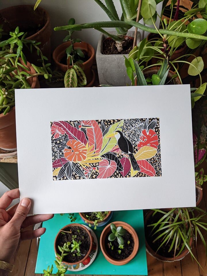 toucan jungle illustration