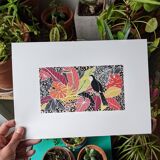 toucan jungle illustration