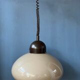 Mushroom suspension by Dijkstra