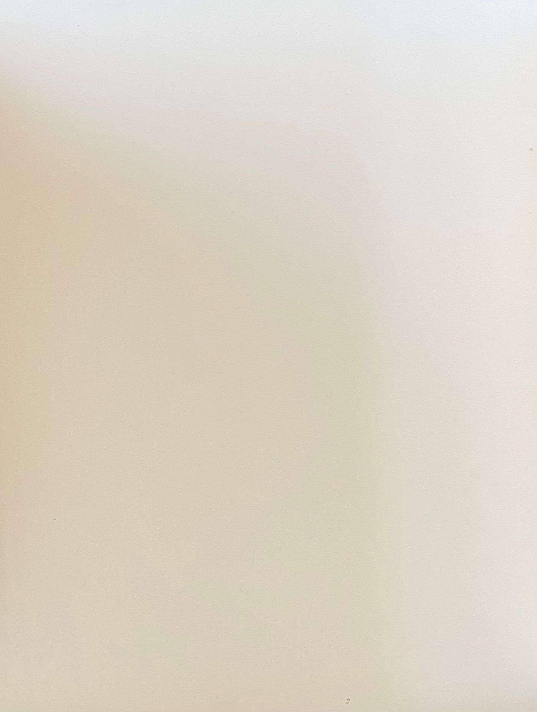 Photograph black and white silver print circa 1970 architecture