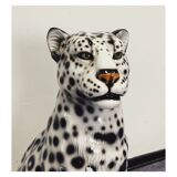Snowleopard Ceramic
