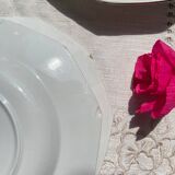 5 vintage hollow plates in opaque porcelain SALINS floral pattern