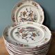 Set of 12 flat plates Villeroy and Boch, Phoenix model