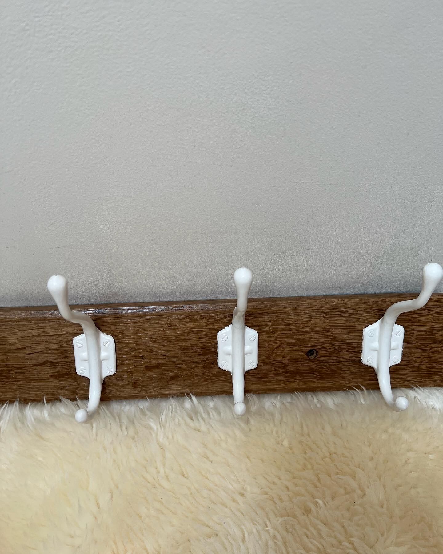 School hook 5 hooks