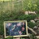 Oiseau en tapisserie vintage