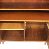 Scandinavian mahogany library, Sweden, 1950