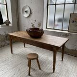 XL thuja root wooden dish