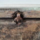 Maie ancient early 18th solid oak