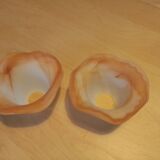 Set of 2 shades