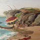Seaside landscape