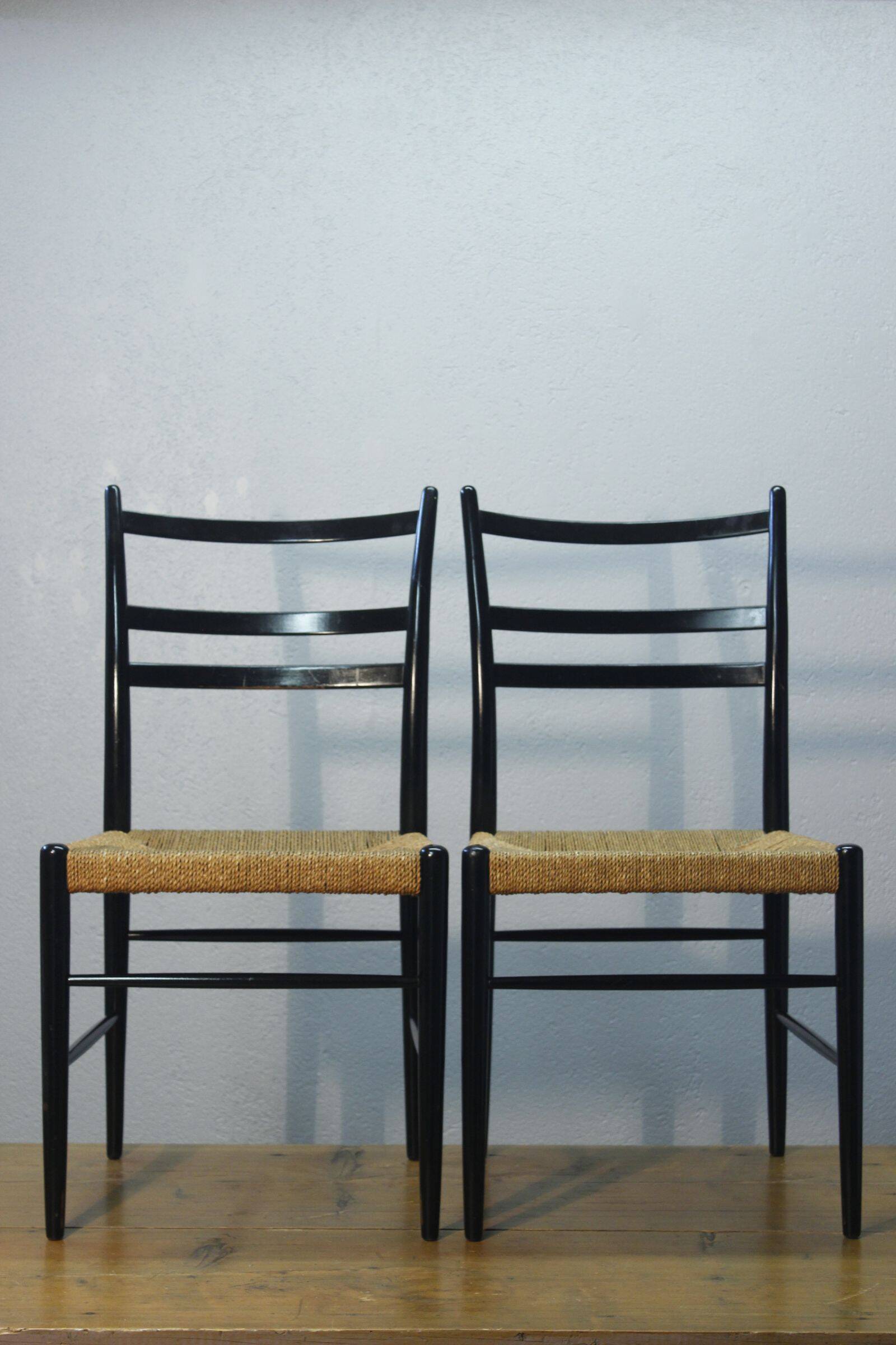 Pair of "Gracell" chairs designed by Yngve Ekström, Gemla Möbler 1950s
