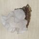 Single French Bronze Art Nouveau Wall Light with Flower Detail and White Glass Shade 4970
