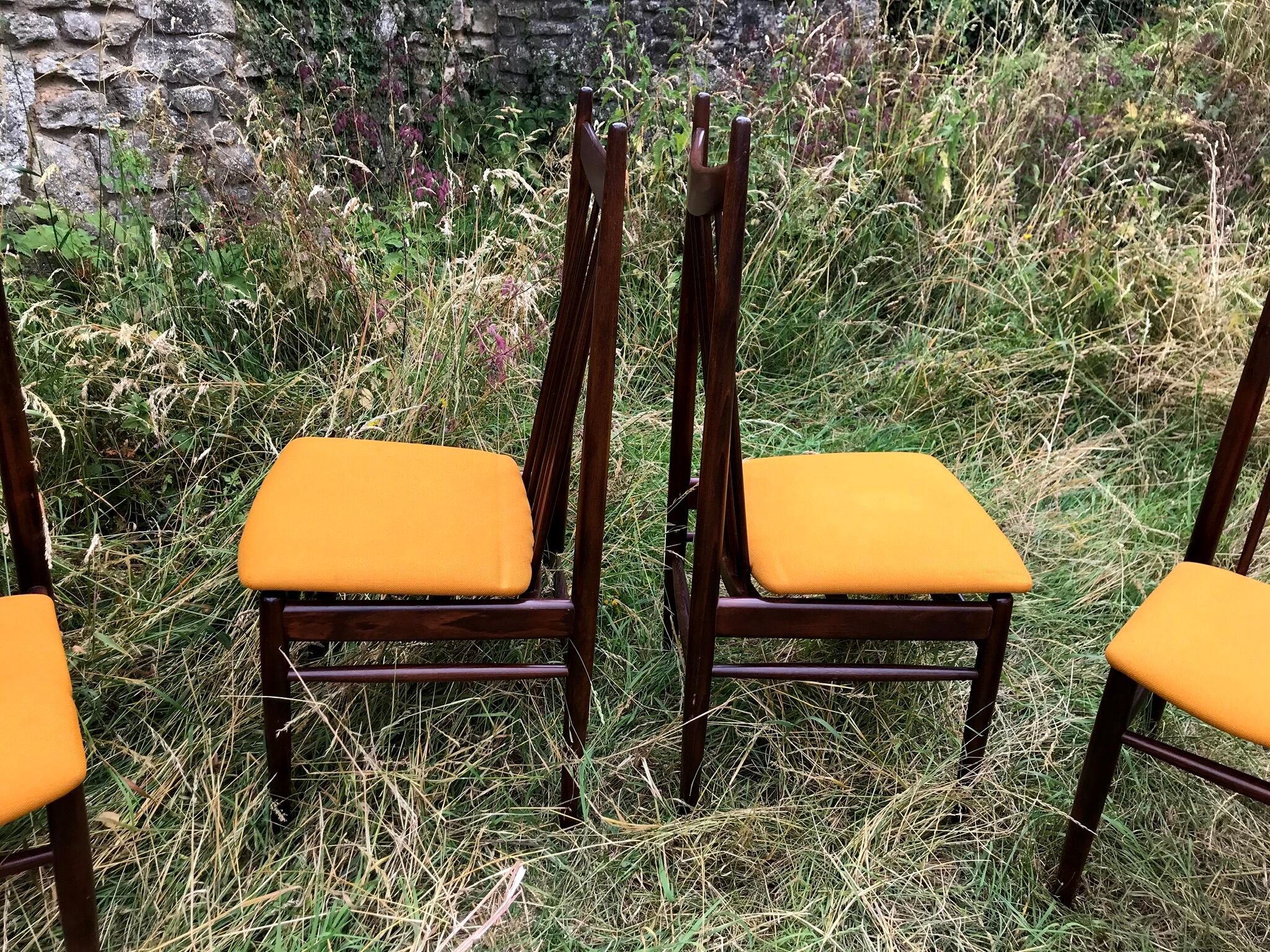 Mahogany chairs top vintage backrest 60s