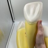 Large size dental model 3 teeth