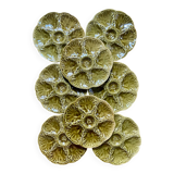 Set of 8 oyster plates in barbotine