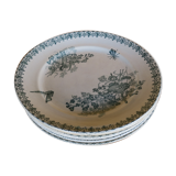 6 assiettes plates Terre de Fer