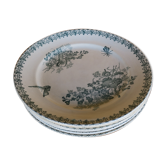 6 flat plates terre de fer