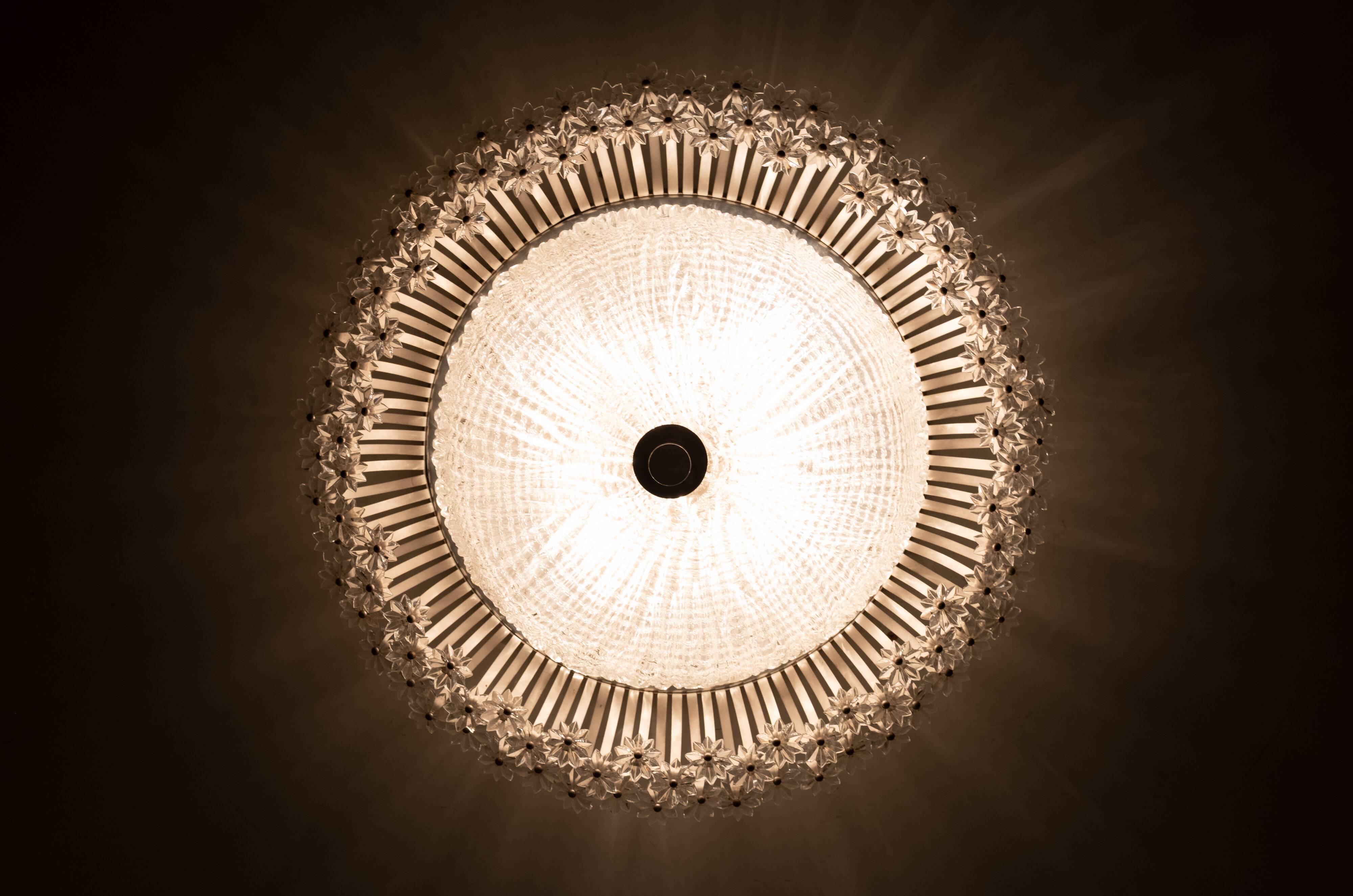 Floral Mid-Century Modern Flush Lamp Emil Stejnar 1960s Austria