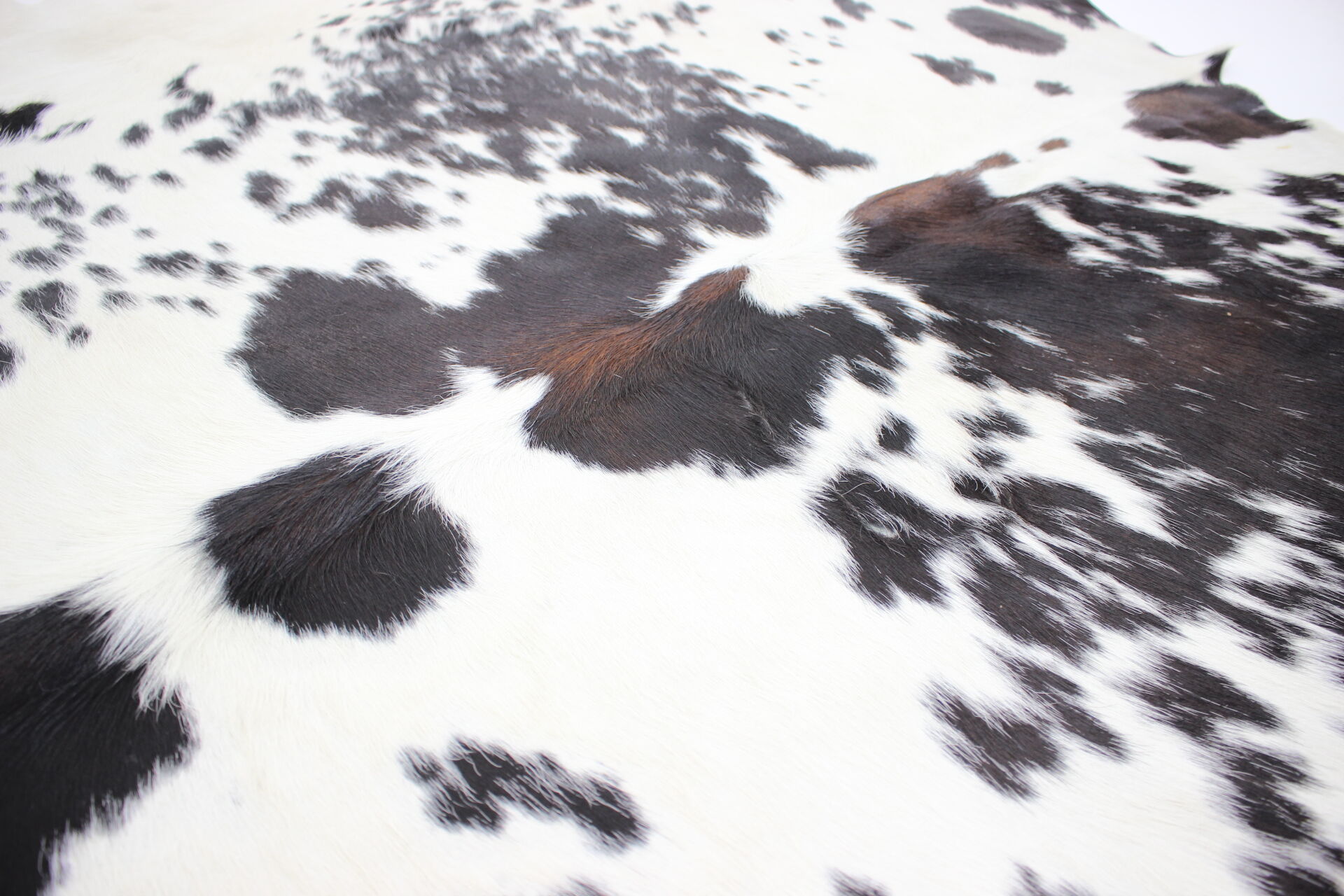 Black & white cowhide rug