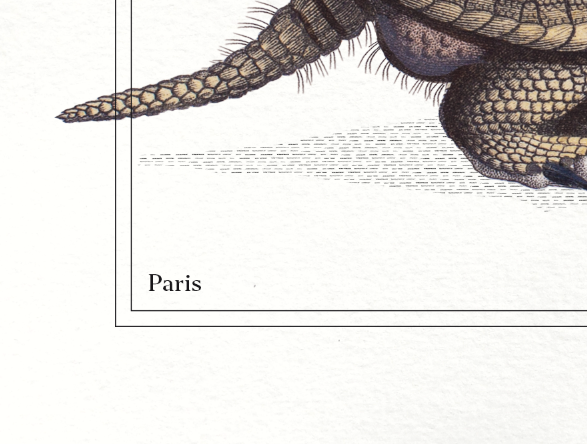 Set of 3 chimera lithography animal engraving