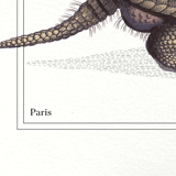 Set of 3 chimera lithography animal engraving