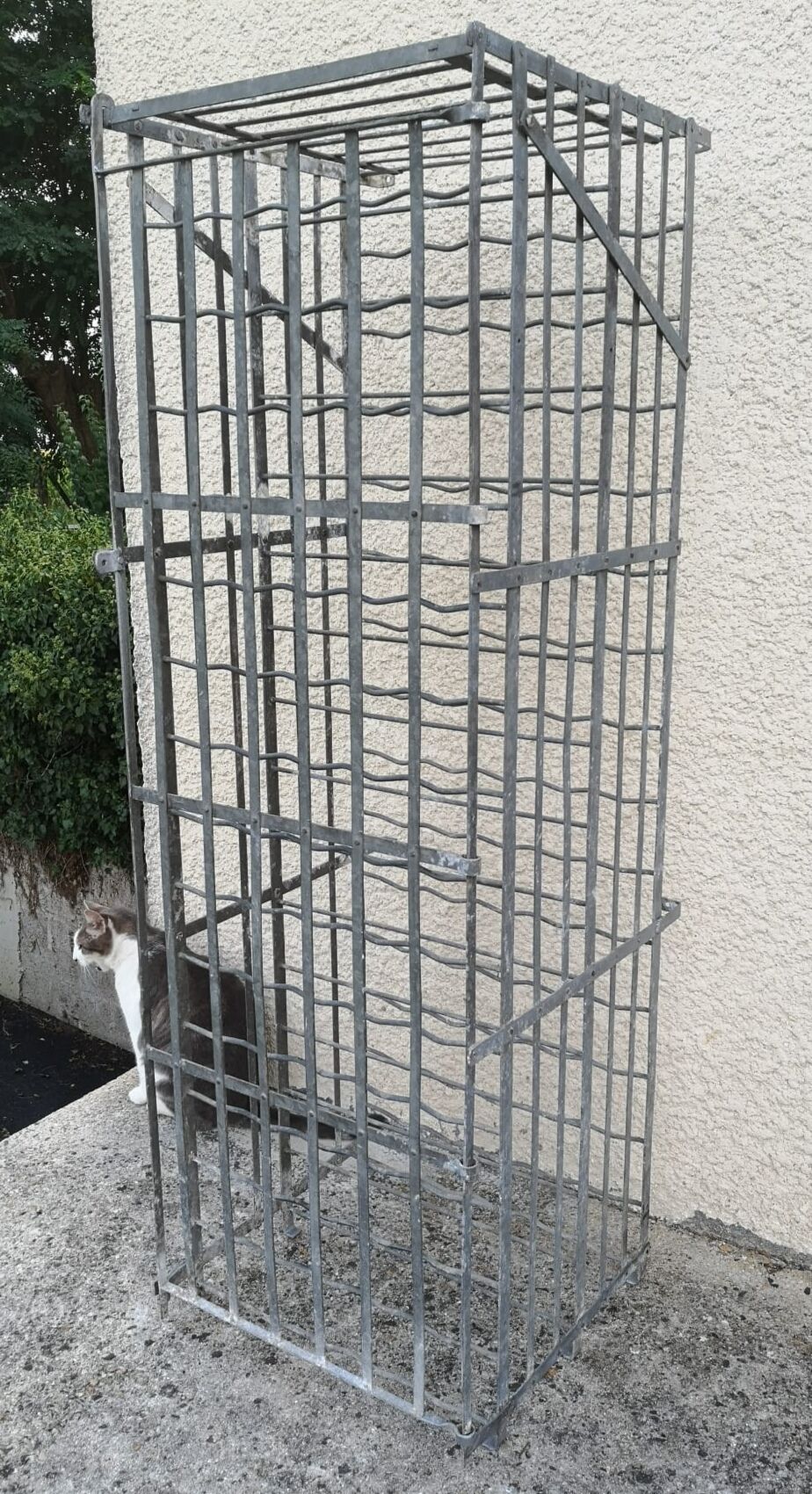 Old bottle bottle wine cage