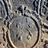 Castle unicorn fireplace plate