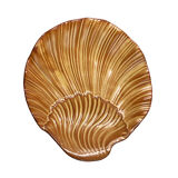 Empty-pocket shells