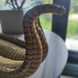 Original and vintage woven basket in the shape of an Asian dragon